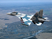 Su-35. 3D model visualization, shipped on Flankers CD.